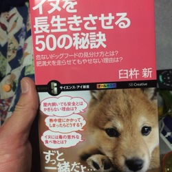犬を長生きさせる、コツ！コツコツがコツ！
