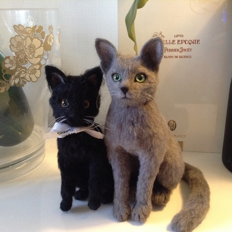 ココのカバー写真