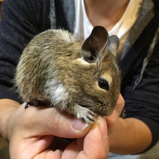 ご応募有難うございました！！