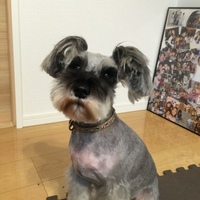 ティーナ