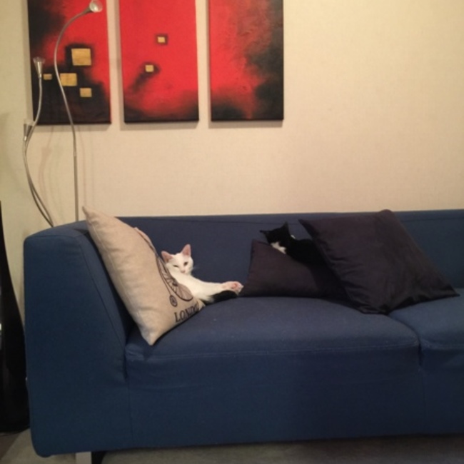 曲がったしっぽのカバー写真