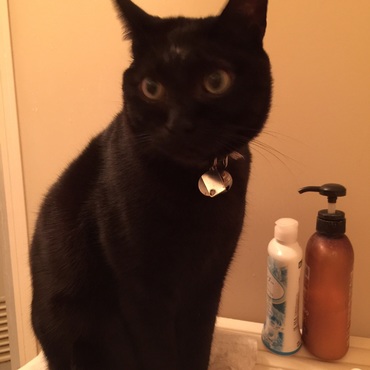 シャワー欲しがるかいたん