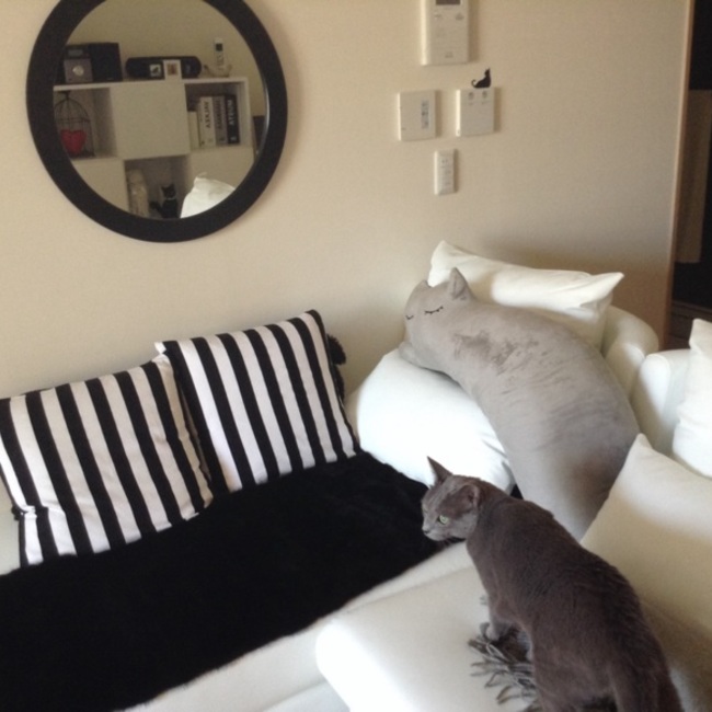 黒ねこラブのカバー写真