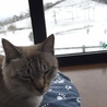 の写真