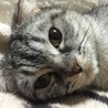 おきてよ〜と 顔を覗き込んできます♪( ´▽｀)
