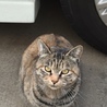 ひめちゃん
