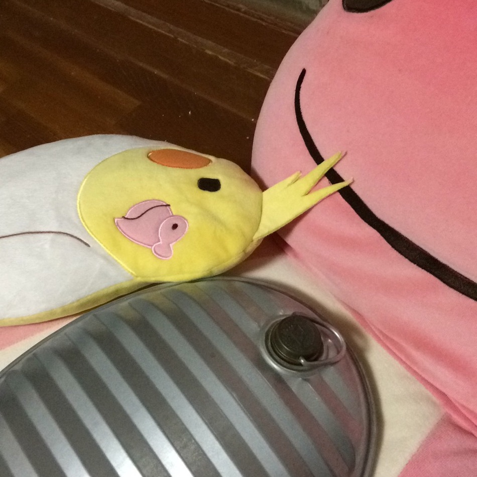 あぽろのカバー写真