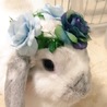  さん