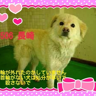 里親さまが決まりました　ありがとうございました