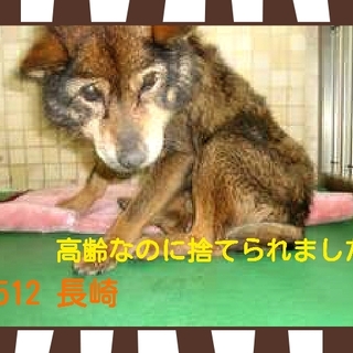 昨夜、亡くなったそうです。残念です。