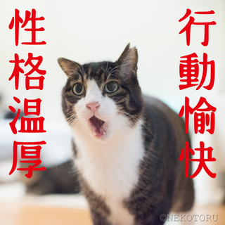 性格温厚、行動愉快。「まるまる」