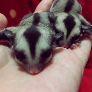 多数のご応募ありがとうございました〜(／≧ω＼)