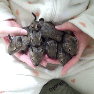 たくさんのご応募ありがとうございました。