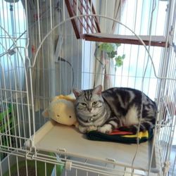 初　システムトイレ