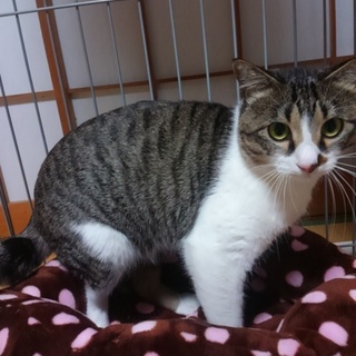 まんまる！な顔がチャーミングなエイズ陽性の男の子