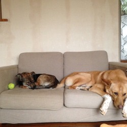 「おともだちトライアル！」サムネイル1