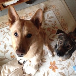 「おともだちトライアル！」サムネイル2