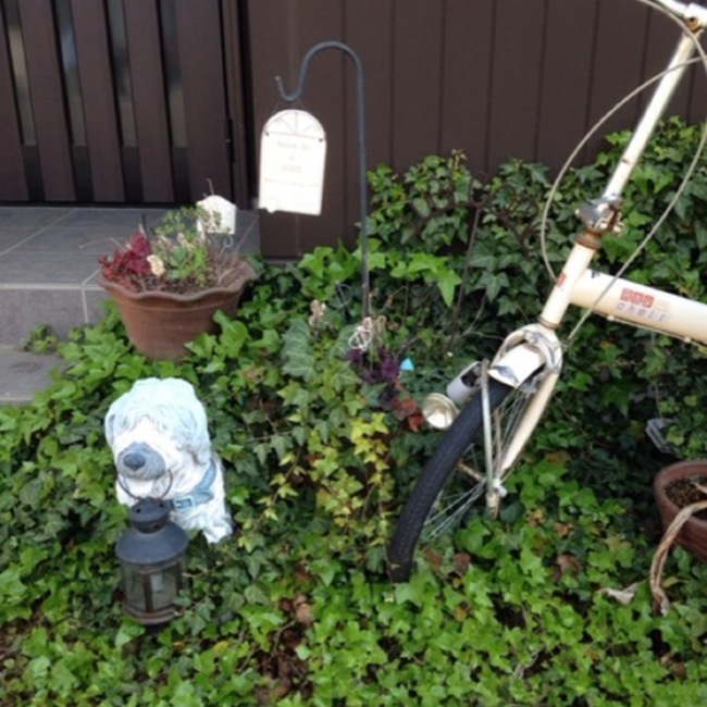 Angel dog & Love catのカバー写真