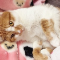 みや