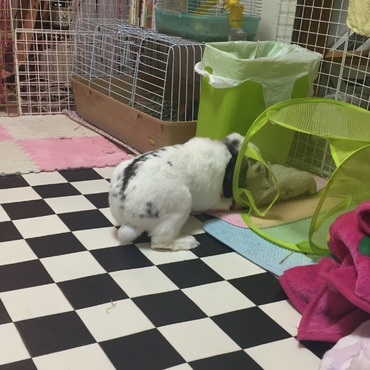 お尻がキュート