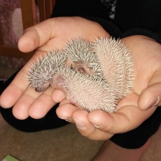 沢山の御応募ありがとうございました！