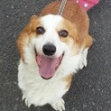 一旦、募集締め切らせていただきます
