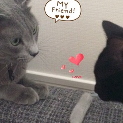 トライアル5日目★ついに初キッス♡