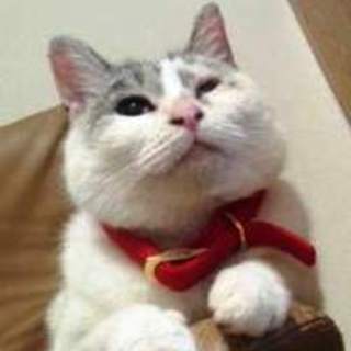 広江ちゃん　静かな子です