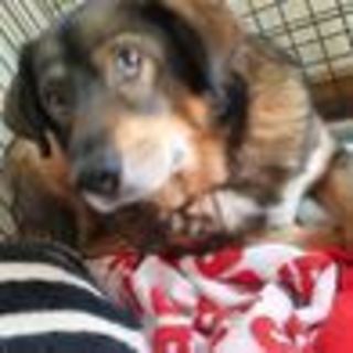 でっかいけど小心者のウィズくん