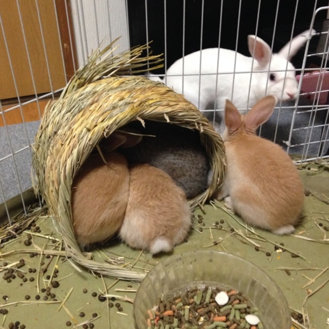 @あやちゃまのカバー写真