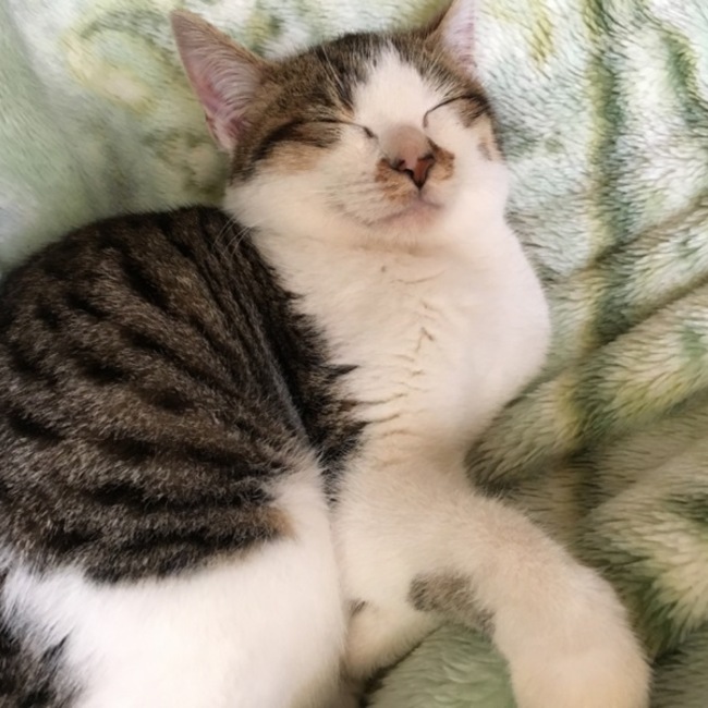 ゆ きのカバー写真