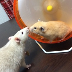 あら、いつの間に仲良し？