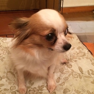 応募多数に付きいったん募集終了いたします。