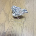 並ウズラ♂の里親さん募集中！
