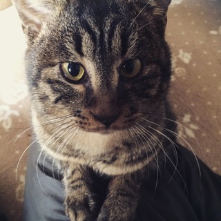 交通事故から奇跡的な回復！甘えん坊の大吉くん