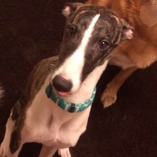 沢山のご応募ありがとうございました。