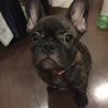 ちっちゃい頃が懐かしい。