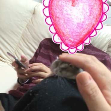 の写真