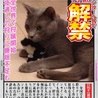 【黒ねこ新聞】第2号