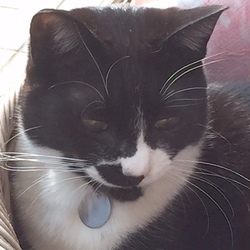 暖かな日差しを浴びて。（＾～＾）