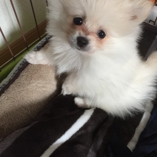 一旦募集中止します！