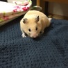 募集一時的にストップさせていただきます。 サムネイル2