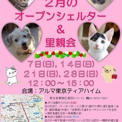 ティアハイムオープンシェルター里親会 サムネイル2