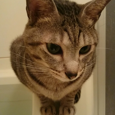 お風呂でリラックス