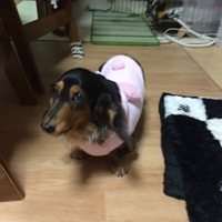 ローザ