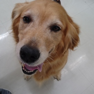 沢山のご応募ありがとうございました！