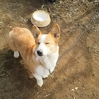 募集が多いため締め切らせていただきます。