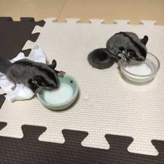 多数のご応募ありがとうございました！