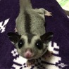 多数のご応募ありがとうございました！ サムネイル2