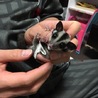 多数のご応募ありがとうございました！ サムネイル4